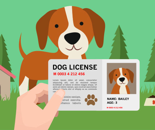 dog license Archives - Oswego County Humane Society