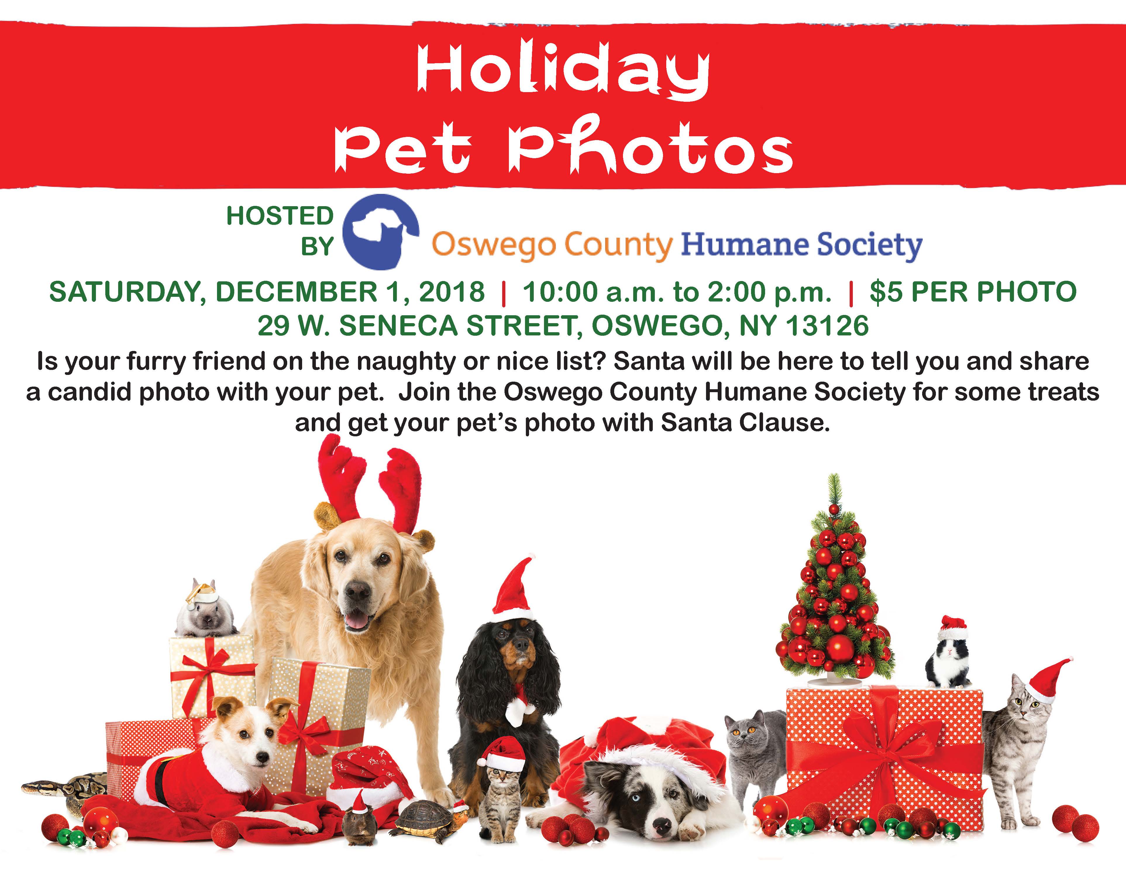 Holiday Pet Photos with Santa - Oswego County Humane Society