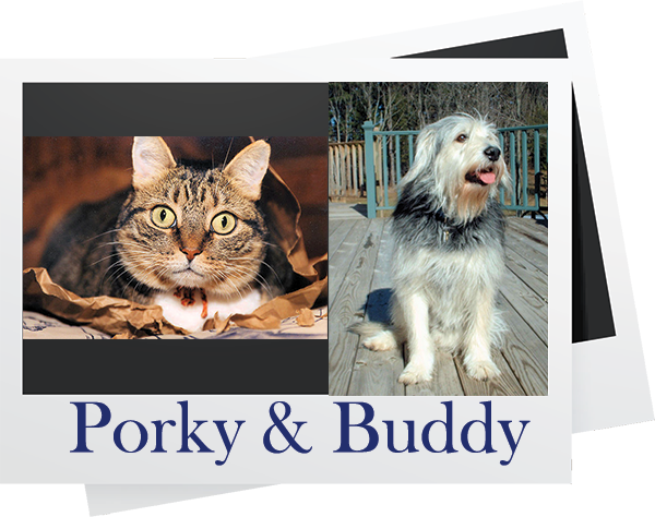 Porky & Buddy headshot