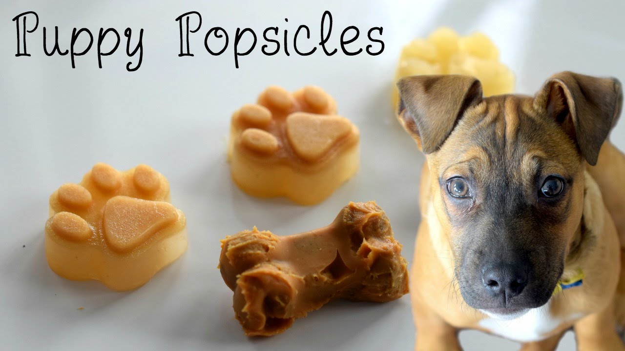 peanut butter dog popsicles